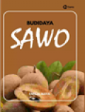 Budidaya Sawo