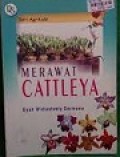 Merawat Cattleya
