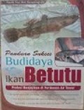 Panduan Sukses Budidaya Ikan Betutu