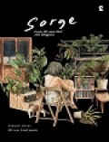 Sorge
