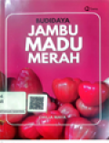 Budidaya Jambu Madu Merah